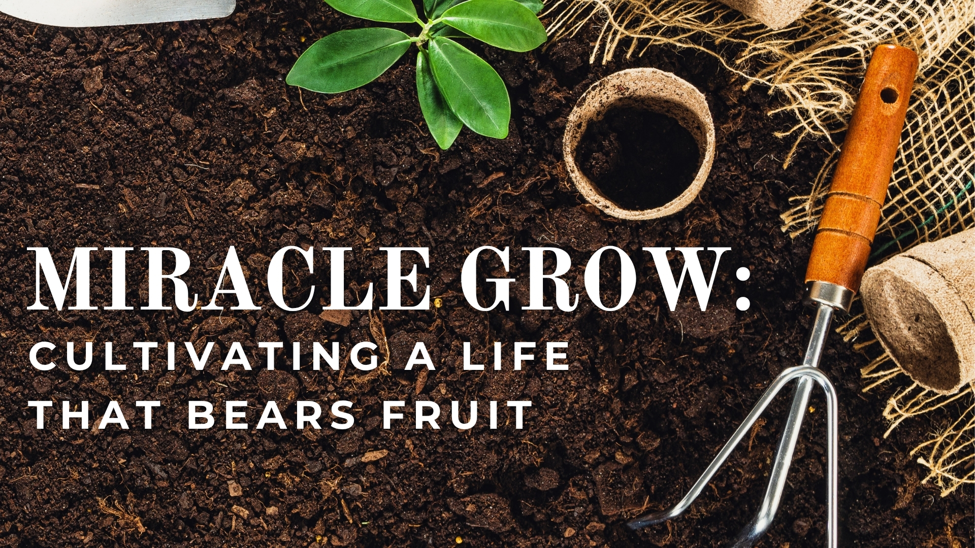 Miracle Grow: A Full Life - Molly Kiefer