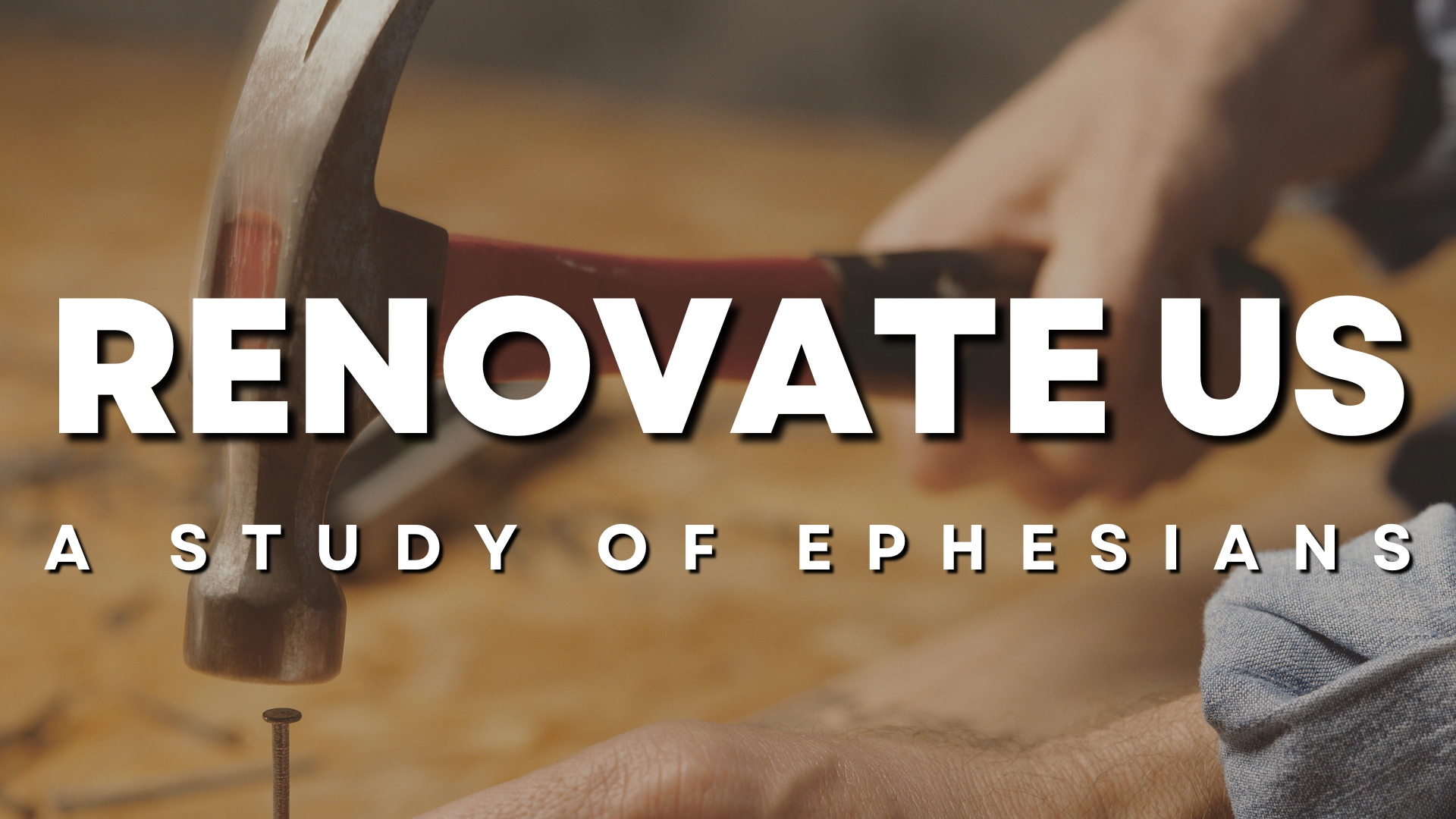 Renovate Us: You're Moved - Molly Kiefer